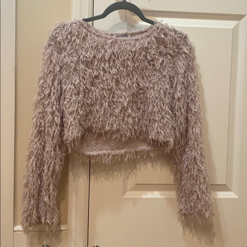 Long sleeve crop